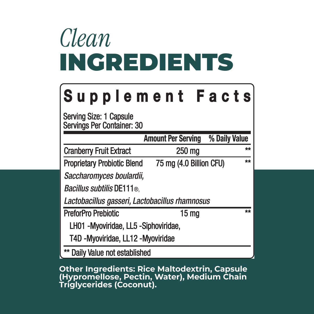 Clean supplement facts label on a dark teal background with the headline 'Clean INGREDIENTS' and a white Supplement Facts panel listing cranberry fruit extract, a proprietary probiotic blend, and Lactobacillus gasseri.