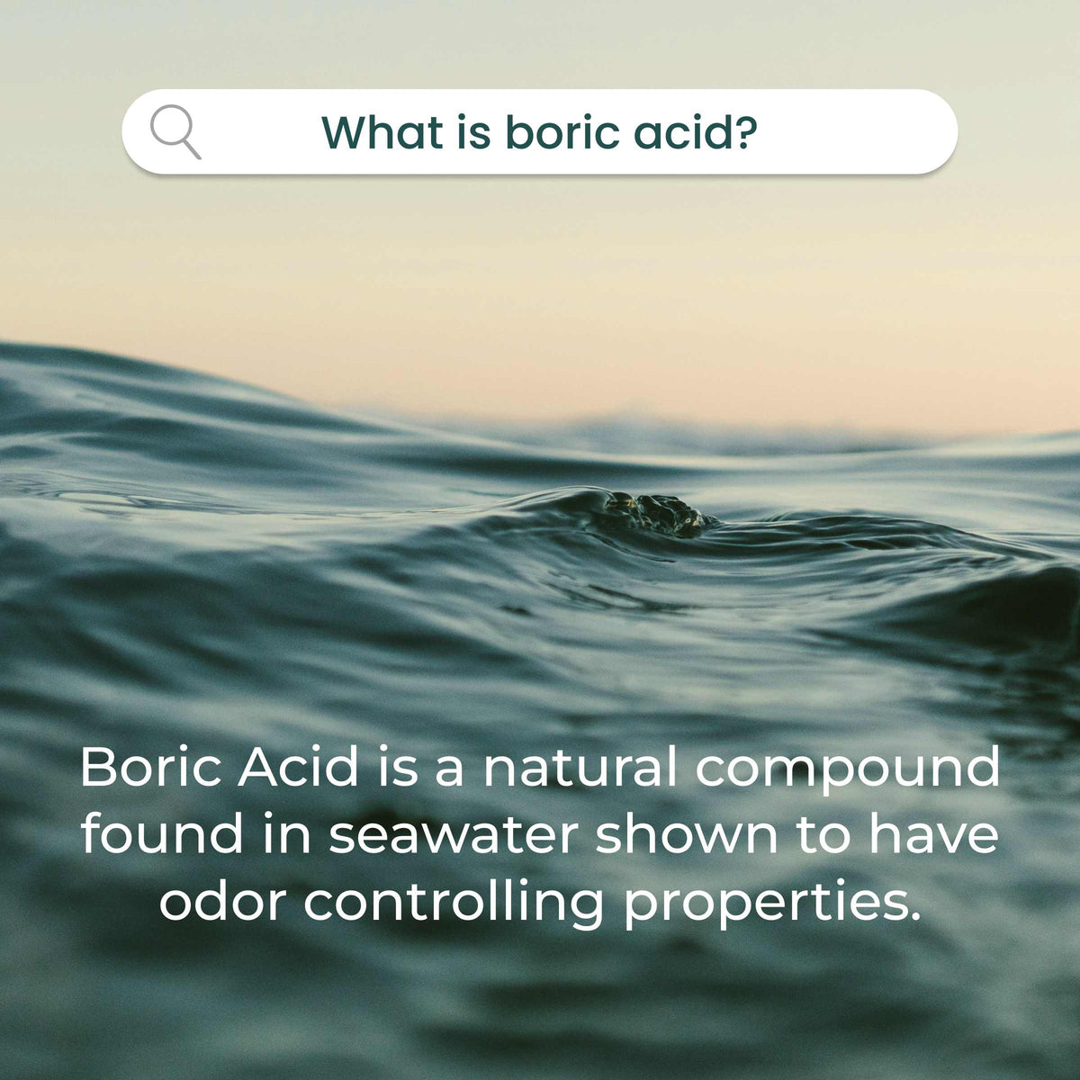 Waves in water with text about boric acid and a search bar asking 'What is boric acid?'.
